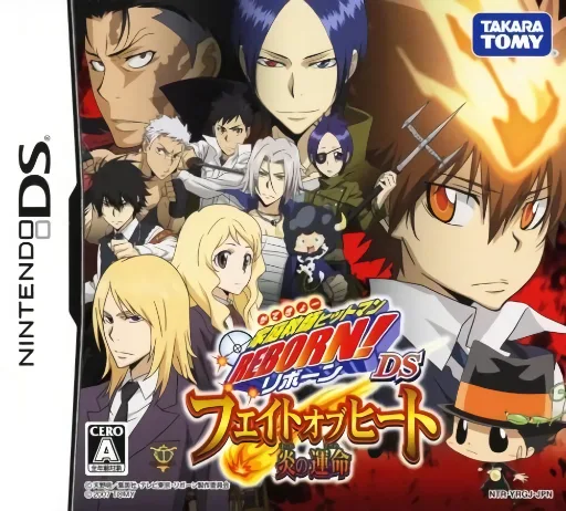 家庭教师 Hitman Reborn! 火热之战 炎之命运游戏封面